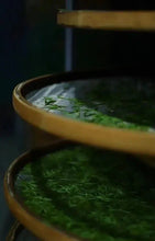 Load image into Gallery viewer, Limited Edition "Guwangkeng Jin Junmei"