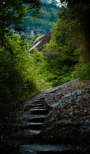 Load image into Gallery viewer, Special Grade Handmade Hui Yuan Keng Gao Cong Shui Xian