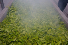 Load image into Gallery viewer, White Cockscomb - 白鸡冠 (Bai Ji Guan) 50g