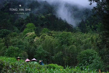 Load image into Gallery viewer, Tong Mu Guan Lao Cong Hong Cha 2021