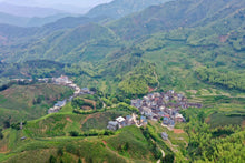 Load image into Gallery viewer, "100 Years + Old Cong Narcissus"100+百年老枞水仙