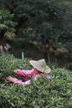 Load image into Gallery viewer, Limited Edition "Guwangkeng Jin Junmei"