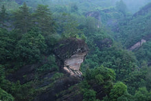 Load image into Gallery viewer, Bamboo Nest Rou Gui /竹窠肉桂