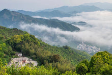 Load image into Gallery viewer, Lao Cong Wu Dong PeachFragrant Dan Cong