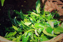 Load image into Gallery viewer, Da Wang Feng Rou Gui/大王峰肉桂