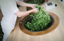 Load image into Gallery viewer, Jin You Di Da Hong Pao(金油滴大红袍)