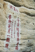 Load image into Gallery viewer, Wuyi Mountain Rock Tea • Shui Lian Dong Zheng Yan Rou Gui/“笑纳”水帘洞正岩肉桂