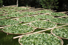 Load image into Gallery viewer, Zheng Yan Lotus Peak "Ruixiang"