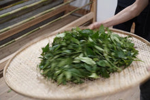 Load image into Gallery viewer, Zheng Yan Lotus Peak "Ruixiang"