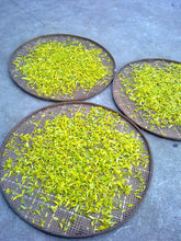 Load image into Gallery viewer, White Cockscomb - 白鸡冠 (Bai Ji Guan) 50g
