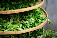 Load image into Gallery viewer, Bai Rui Xiang (百瑞香)