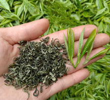 Load image into Gallery viewer, Gui Ding Yun Wu Tea