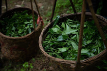 Load image into Gallery viewer, Zou Ma Lou Zheng Yan Rou Gui “半盏时光”