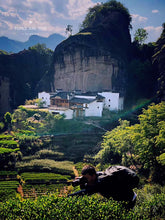 Load image into Gallery viewer, 2021 Ma Tou Yan Old Tree Rou Gui(马头沉香)