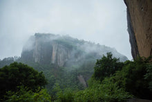 Load image into Gallery viewer, 2022 new variety of rock tea: Return of Spring(春闺)