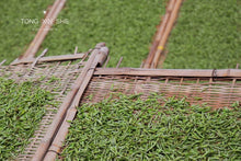 Load image into Gallery viewer, 2022 White Tea Collection