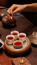 Load image into Gallery viewer, Wuyi rock tea traditional craft production 2019 Tian Xin Yan Rou Gui.
