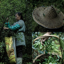 Load image into Gallery viewer, The limited-edition rock tea &quot;Ku Mu Feng Chun Rou Gui&quot; of Tongxin She Teahouse, to experience the charm of Wuyi rock tea.
