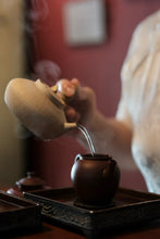 Load image into Gallery viewer, Concentric House Teahouse's Quest for Wuyi Rare Cultivar: Zui Gui Ji
