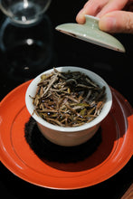 Load image into Gallery viewer, Aged Charm in a Cup of Vintage Silver Needle Tongxin Teahouse’s 2009 Fuding Baihao Yinzhen Collection
