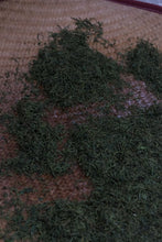 Load image into Gallery viewer, Tongxin She · Tea Origin Exploration | 2026 Tongmuguan Floral Black Tea "Peach Blossom" 桃之夭夭Limited Sample · Free Tasting
