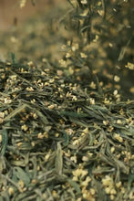 Load image into Gallery viewer, 2026 Premium Sweet Osmanthus Longjing · One Tea Embodies Spring and Autumn, Scent Crafted to Perfection特级桂花龙井
