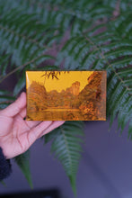 Load image into Gallery viewer, Treasured at Tongxinshe Teahouse: A Brew of 1998 Jiuqu Rou Gui Rock Tea
