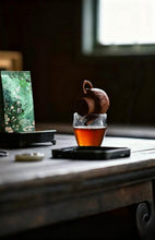 Load image into Gallery viewer, Zhang Tang Jian Qi Zhong Clouds Rest on Emerald Shades — The Cool Elegance of Huiyuan Valley Rock Tea Limited Release: 2025 Authentic Wuyi Heirloom Tea from Tong Xin She Tea House 章堂涧奇种 · 雲栖翠影
