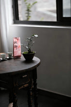 Load image into Gallery viewer, Tongxin She Tea House Premium Recommendation | 2025 Charcoal-Roasted "桃醉 Peach Enchantment" Shuiliandong Rougui

