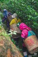 Load image into Gallery viewer, Tongxinshe’s Three-Year Waiting: For a Mellow and Perfect Brew of Maoershi Da Hong Pao
