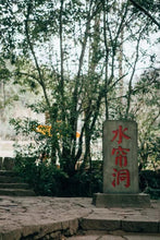 Load image into Gallery viewer, Tongxin She New Release | Orchid Above the Rocks(岩上幽兰)

Pure Qian Li Xiang from Water Curtain Cave – Qishan, Wuyi Rock Tea  Limited to 15kg | For Tea Lovers Who Prefer High-Fragrance Teas
