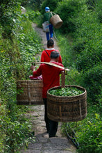 Load image into Gallery viewer, Niu Lan Keng Lao Cong Shuixian · Cong Kui 枞魁
