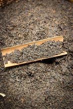 Load image into Gallery viewer, Tongxin She Teahouse | Tasting and Sharing of the 1994 Old Liubao Tea: The Warmth and Charm Precipitated by Time
