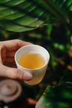 Load image into Gallery viewer, New at Tongxin She Tea House｜2016 Fuding Button White Tea Loquat Whisper · White Peony: Portable Honey Aroma, Elegance On the Go
