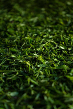 Load image into Gallery viewer, Tongxin She Teahouse | 2026 Premium West Lake Longjing Pre-sale，Baihefeng Yuantoumen: The Hidden Spirit of Jiangnan’s Spring Mountains
