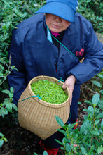 Load image into Gallery viewer, Tongxin She Teahouse: In Search of the Lost Supreme Biluochun

