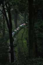 Load image into Gallery viewer, Tongxin She Teahouse | 2026 Premium West Lake Longjing Pre-sale，Baihefeng Yuantoumen: The Hidden Spirit of Jiangnan’s Spring Mountains
