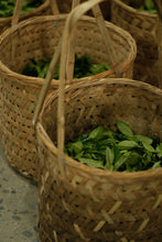 Load image into Gallery viewer, Exploring the Secret of Wuyi: Tongxinshe Teahouse Recommends the Niche Treasure &quot;Lotus Peak Huang Qi&quot;莲花峰黄奇
