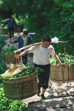 Load image into Gallery viewer, Tongxin She Teahouse 2025 Wuyi Rock Tea Mantuo Peak Huangjingui Tasting 黄金桂

