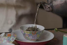 Load image into Gallery viewer, A Decade of Aroma: The Charm of Time on the Tips of Baihao Yinzhen - 2015 Fuding Panxi Alpine Baihao Yinzhen
