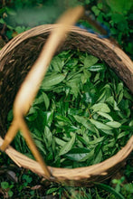 Load image into Gallery viewer, Rock Bone and Flower Fragrance Hidden in a Secret Realm: Tongxinshe Presents the Rare 2025 Wuyi Rock Tea &quot;Yujing Liuxiang&quot;玉井流香 to Tea Lovers
