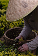 Load image into Gallery viewer, Tongxin She Teahouse 2025 Limited Launch | Handmade Bai Jiguan by Gao Peng and His Mother, A Cup Holds the Elegance of Wuyi白鸡冠。
