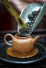 Load image into Gallery viewer, Tasting in Tongxin She Teahouse: Encountering the Timeless Secrets of the 1940 Antique Pu&#39;er Tea
