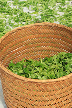 Load image into Gallery viewer, Tongxinshe Teahouse's 2025 Premium Ancient Tree "Dongfanghong" Fenghuang Dancong/特级古树东方红。
