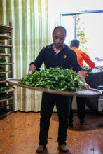 Load image into Gallery viewer, Rock Bones Hide Treasures, Craftsmanship Bears Signature – Tongxinshe Presents 2025 Intangible Cultural Heritage Grade Niulan Keng Qizhong (8.3g per Can) to Tea Lovers 牛栏坑奇种
