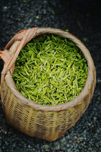 Load image into Gallery viewer, 2026 Tongxin She Tea Journey to Huzhou, Zhejiang: Not All White Tea is Anji White Tea

