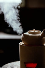 Load image into Gallery viewer, Tongxinshe Starter Rock Tea｜Lianhua Peak Rou Gui – A Gentle Rock Rhyme for Beginners 莲花峰肉桂
