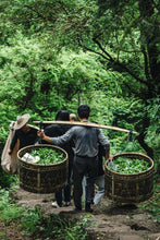 Load image into Gallery viewer, Tongxinshe Teahouse Premium Selection He Gangyan Tea Factory · Matou Rock Beidou:The Rare Delicacy of Authentic Wuyi Famous Bush Tea
