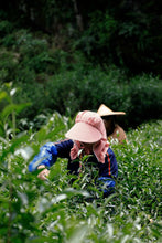 Load image into Gallery viewer, Tongxinshe Starter Rock Tea｜Lianhua Peak Rou Gui – A Gentle Rock Rhyme for Beginners 莲花峰肉桂
