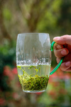 Load image into Gallery viewer, Tongxin Tea House March Trip to Yixing | Tasting the First-Pick Yangxian Xueya,The Spring Freshness Hidden in the Capital of Zisha
